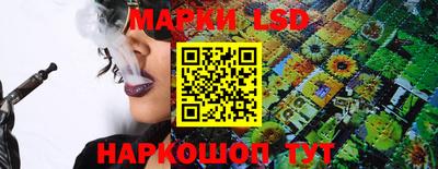 соль ск Новодвинск