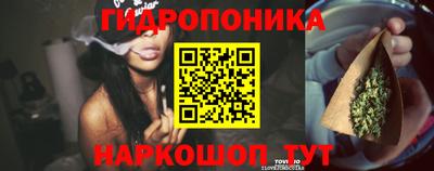 соль ск Новодвинск