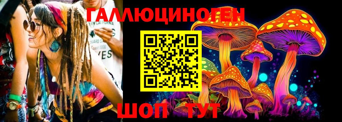 Галлюциногенные грибы прущие грибы Родники